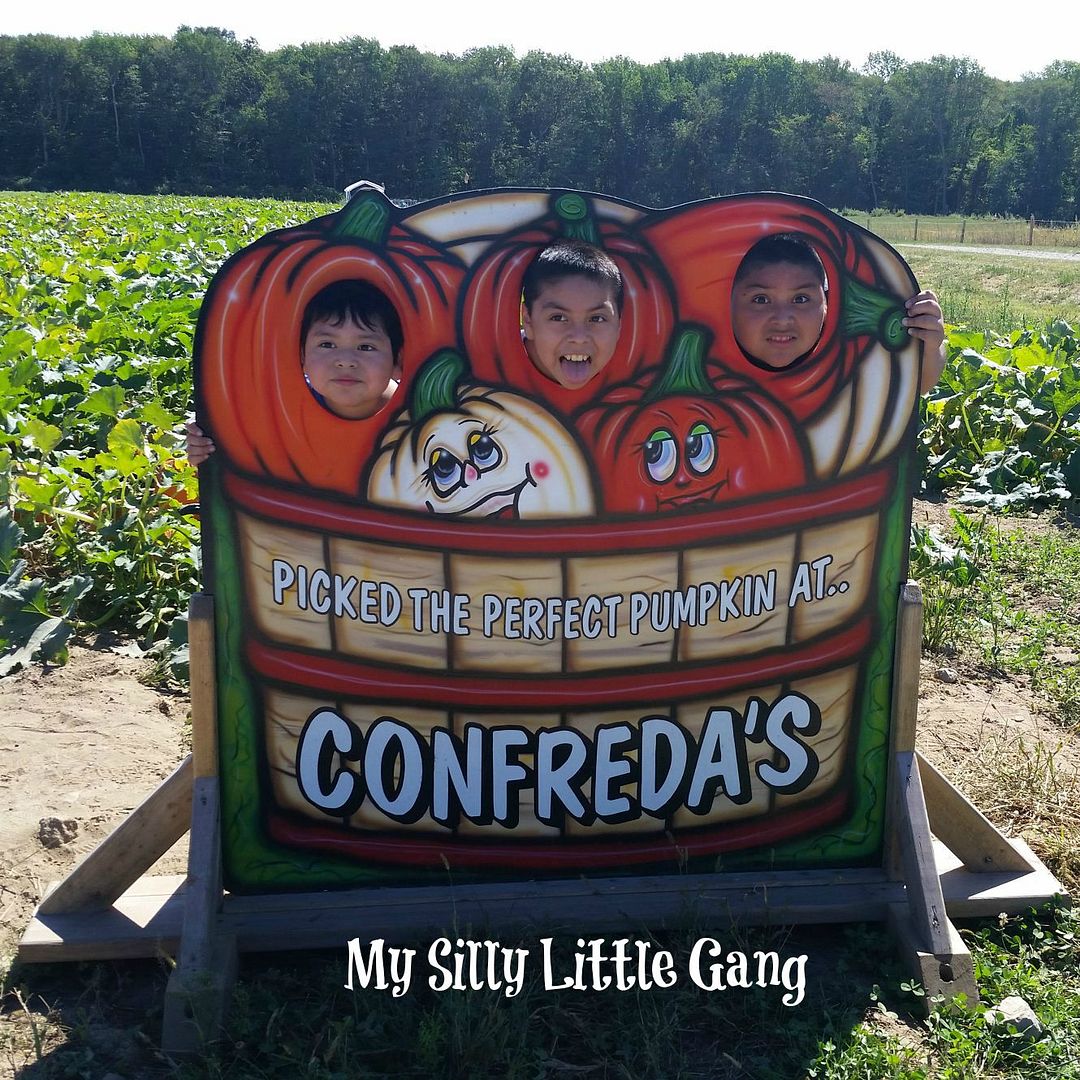 Our day at the Confreda Farms Fall Festival #confredafun - My Silly
